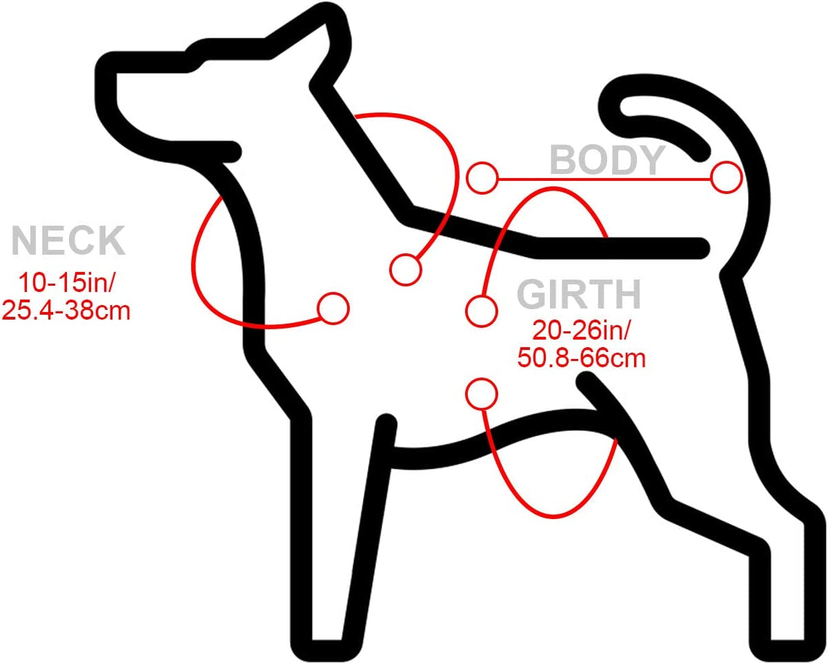 Dog Sombrero Hat Pet Serape Poncho Costume Funny Dog Multicolor Adjustable Mexican Straw Hat Chihuahua Clothes(Medium)