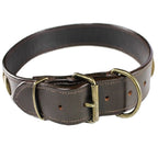 Genuine Real LEATHER Heavy Duty Dog Collar for Medium LARGE Pet Rivet Bronze Sz XXXL (NECK 19" - 24")