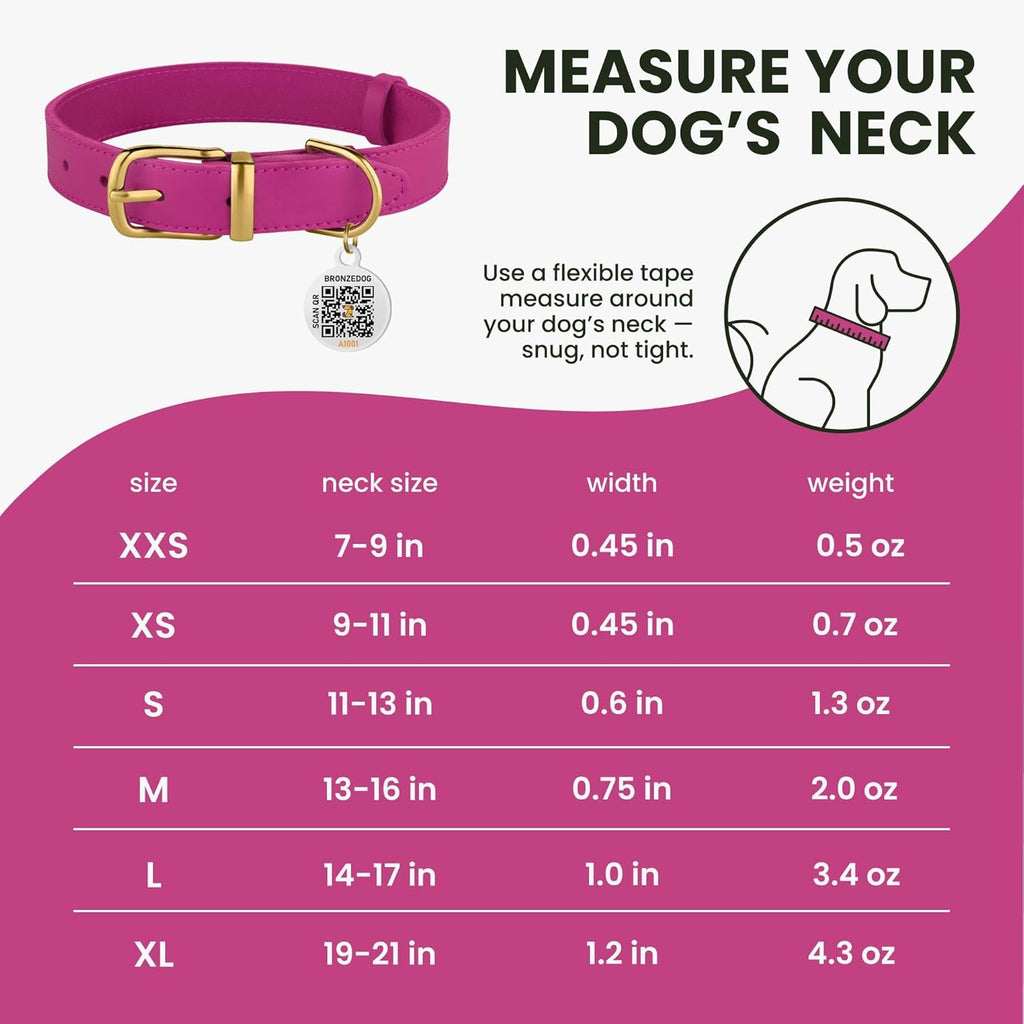 Leather Dog Collar with Metal Buckle Durable Basic Pet Collars for Small Medium Large Dogs (13-16 Inch (Pack of 1), Pink & Gold Buckle)