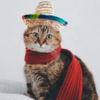 Pet Straw Hat Funny Mexican Sombrero Cap Party Decorations Cinco De Mayo Pet Hats for Small Pets/Puppy/Cat