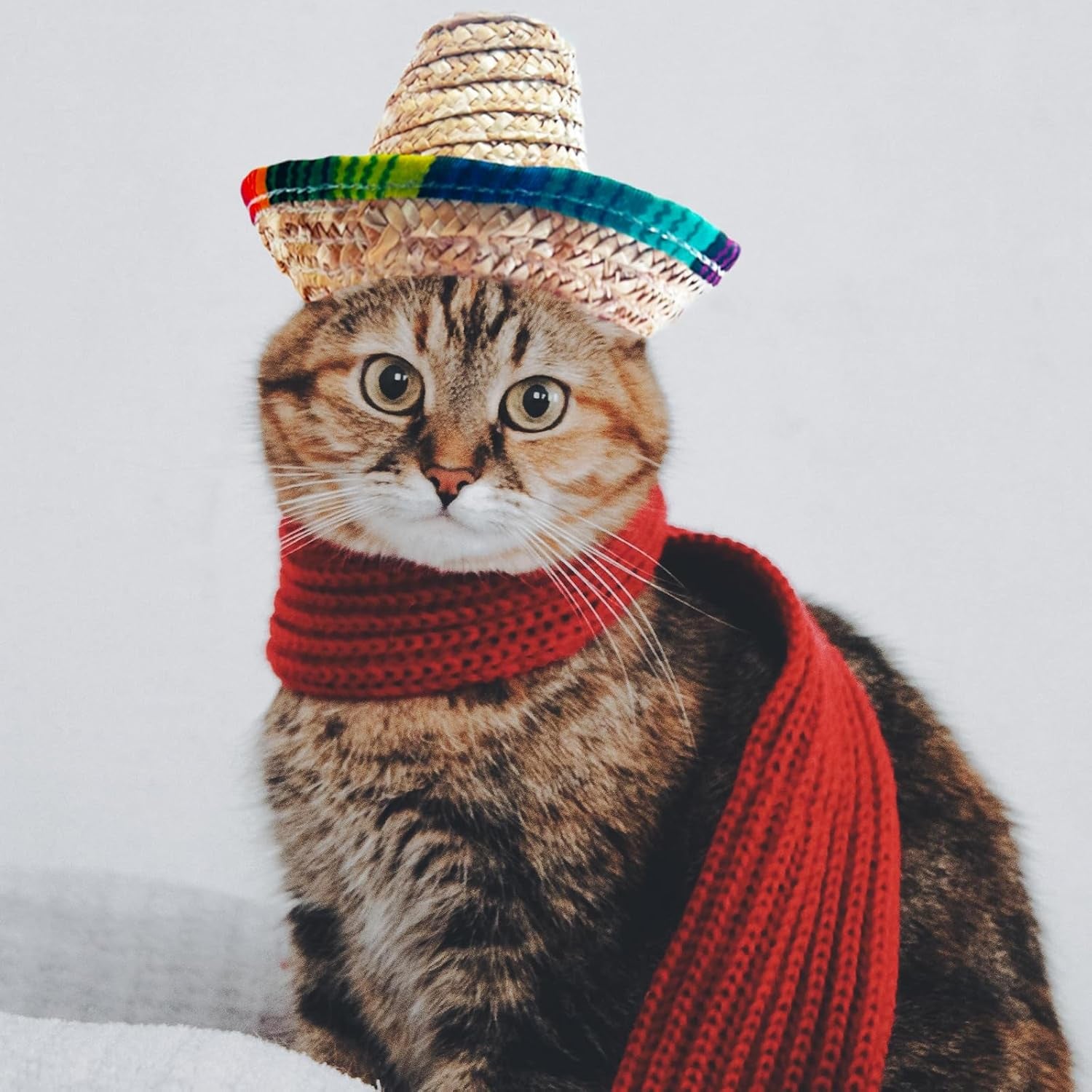 Pet Straw Hat Funny Mexican Sombrero Cap Party Decorations Cinco De Mayo Pet Hats for Small Pets/Puppy/Cat