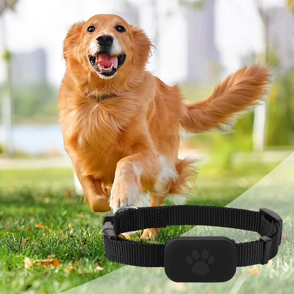 Dog Tracker with Adjustable Collar Cat Locator Smart Pet Locator for Cats and Dogs