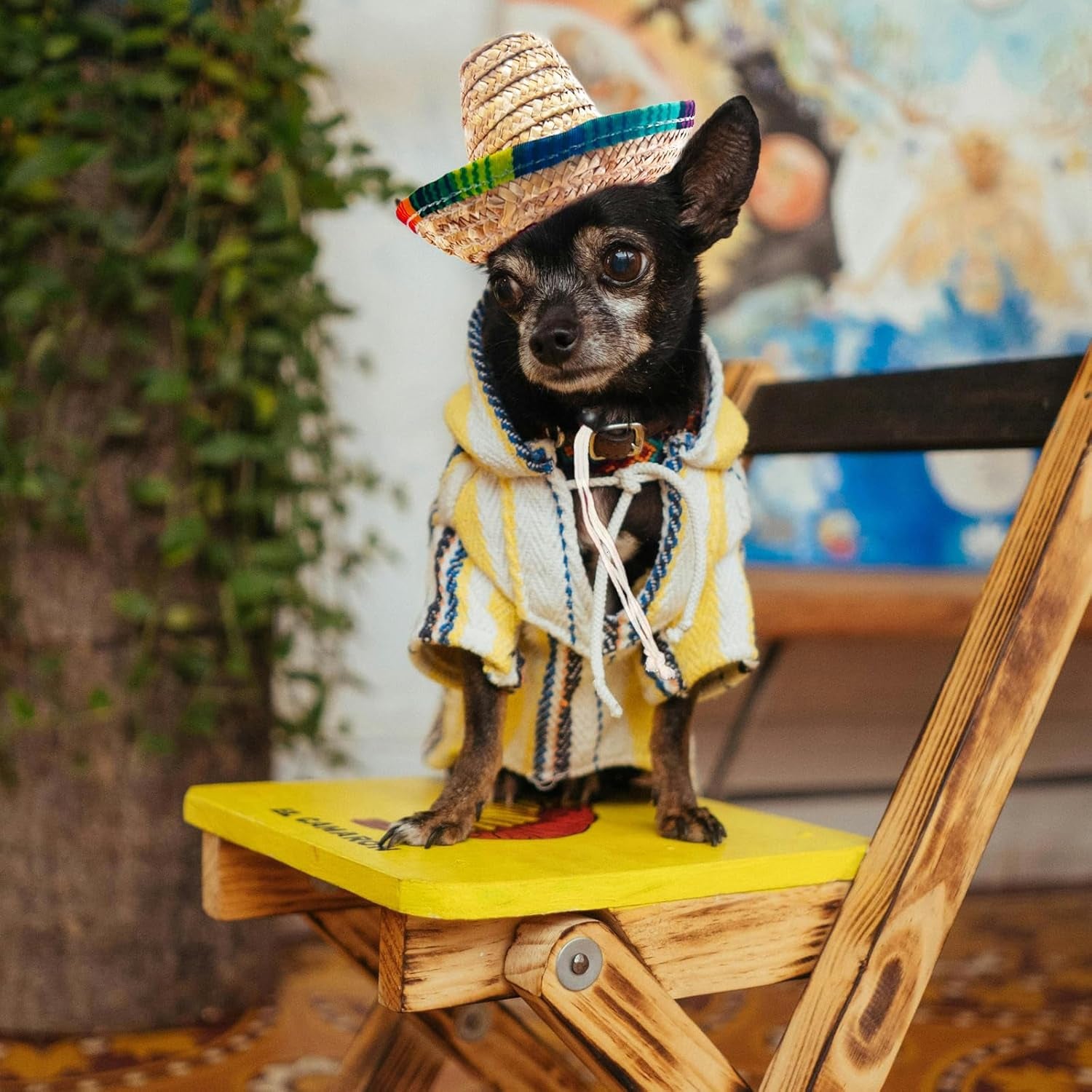 Pet Straw Hat Funny Mexican Sombrero Cap Party Decorations Cinco De Mayo Pet Hats for Small Pets/Puppy/Cat