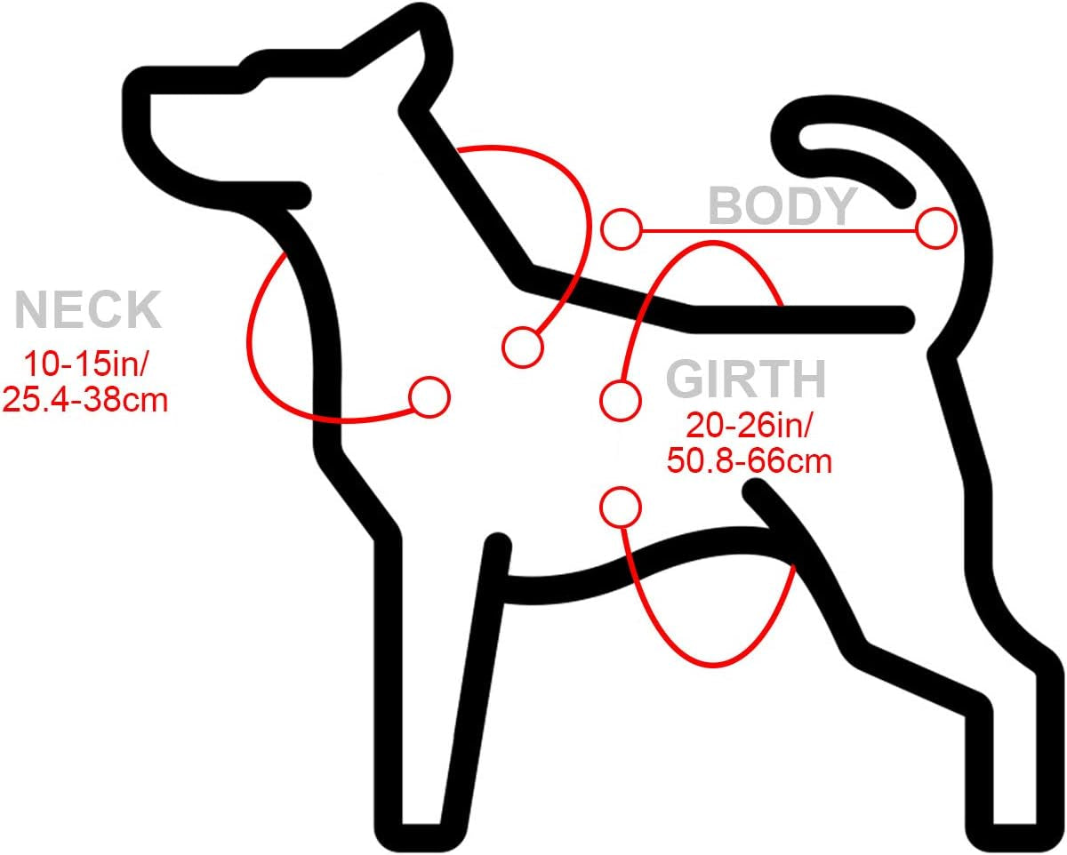 Dog Sombrero Hat Pet Serape Poncho Costume Funny Dog Multicolor Adjustable Mexican Straw Hat Chihuahua Clothes(Small)