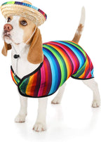 Dog Sombrero Hat Pet Serape Poncho Costume Funny Dog Multicolor Adjustable Mexican Straw Hat Chihuahua Clothes(Small)
