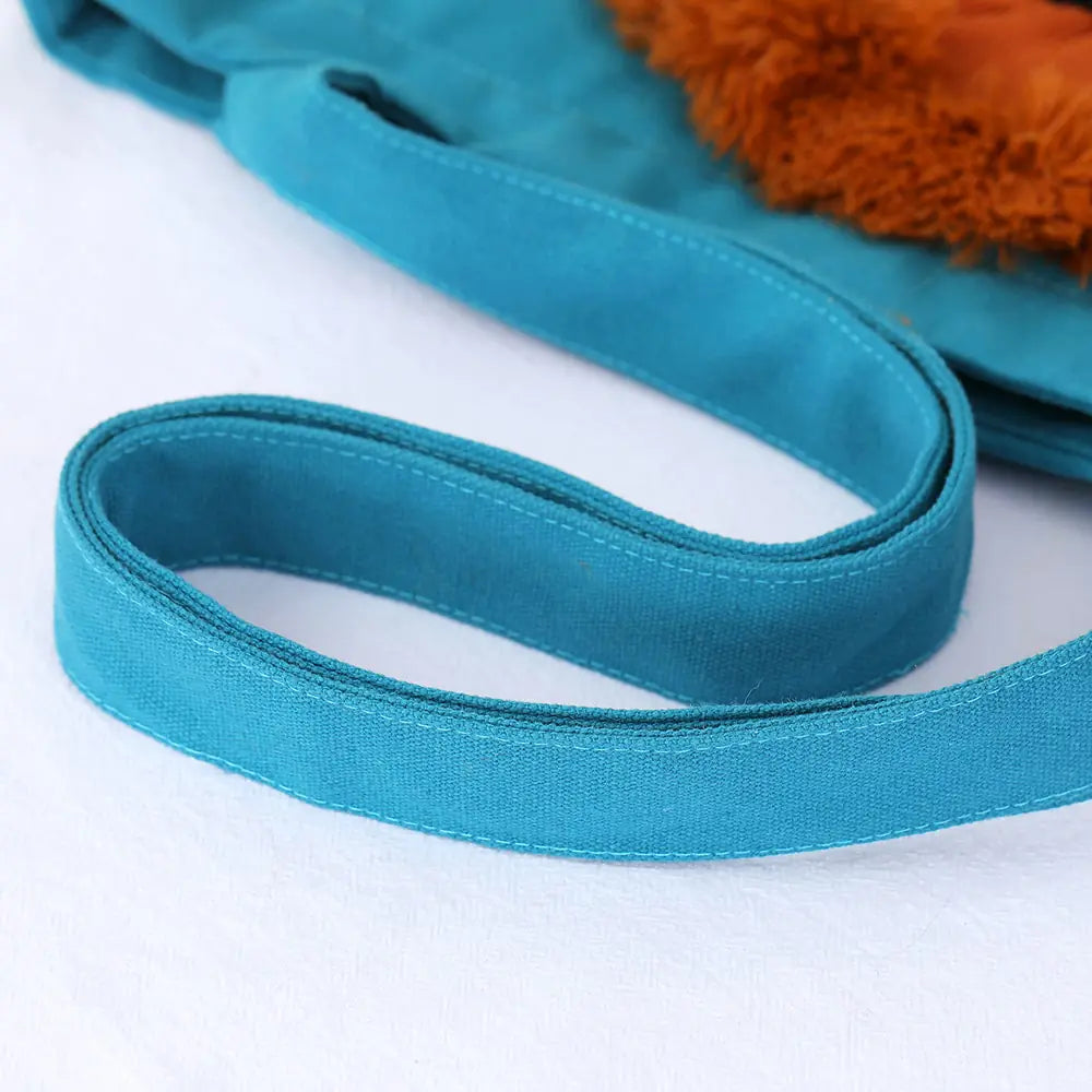 Presents Pet Carriers | Pet Accessories | Pet Supplies | Pet Travel