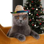 Pet Straw Hat Funny Mexican Sombrero Cap Party Decorations Cinco De Mayo Pet Hats for Small Pets/Puppy/Cat