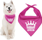 Drama Queen Dog Bandana, Small