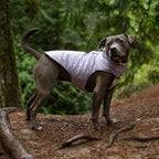 Pet Coat | Water-Repellent Reversible Reflective Puffer Dog Coat, Lavender, Medium