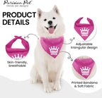 Drama Queen Dog Bandana, Small