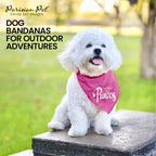 Princess Dog Bandana, Medium