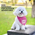 Drama Queen Dog Bandana, Small