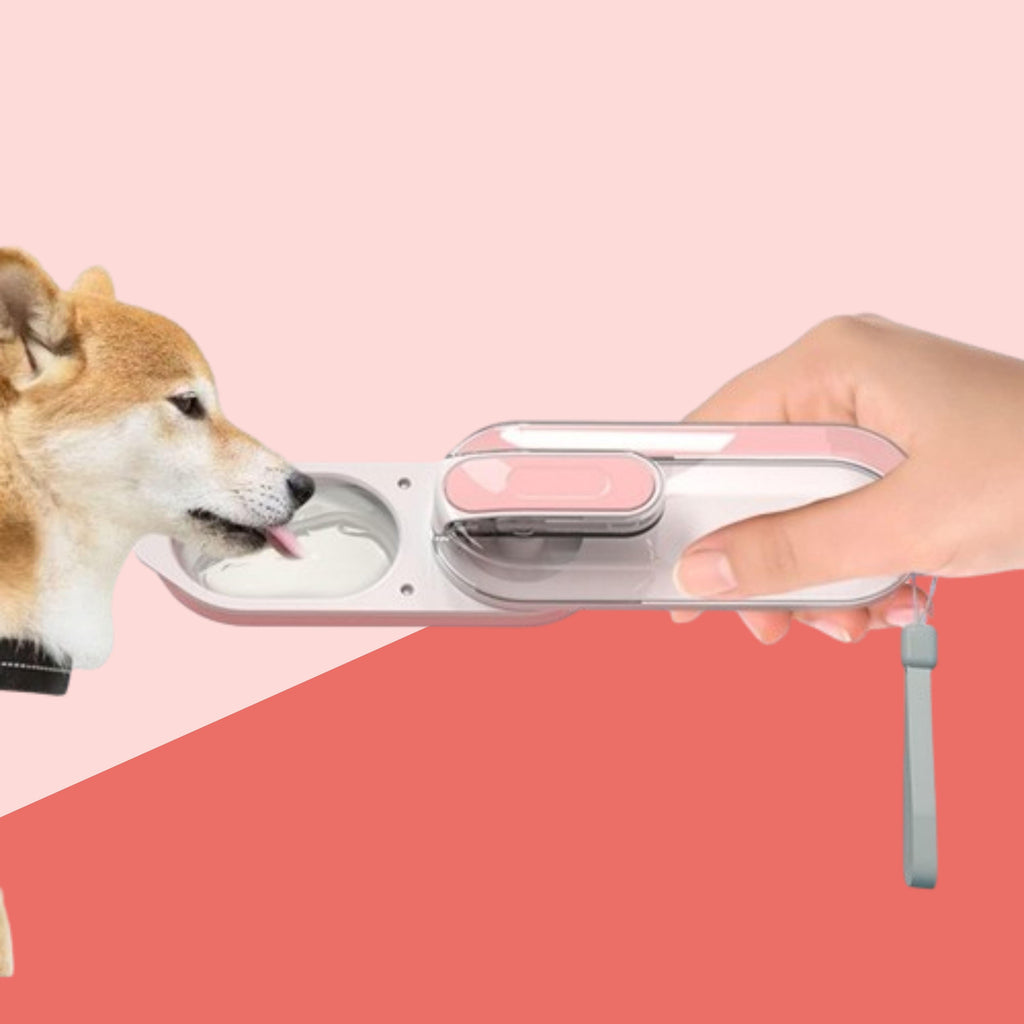 Portable Leak-Proof Foldable Pet Water Dispenser