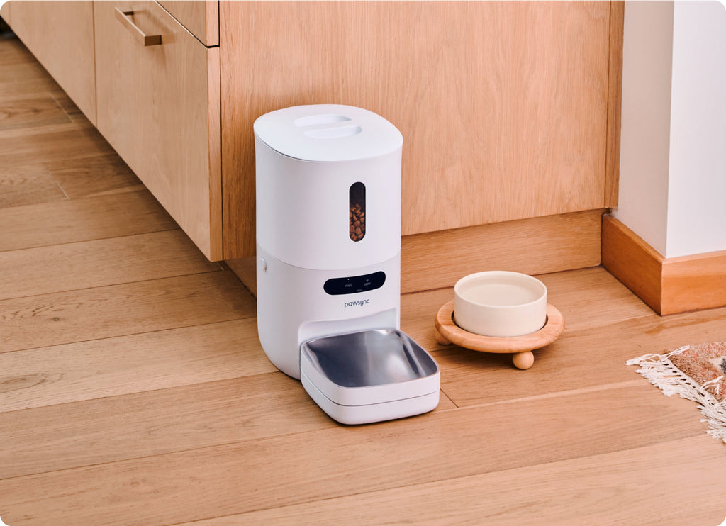 Smart Pet Feeder