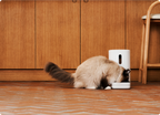 Smart Pet Feeder