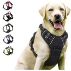 Dog Collar Harness Vest Leash Set