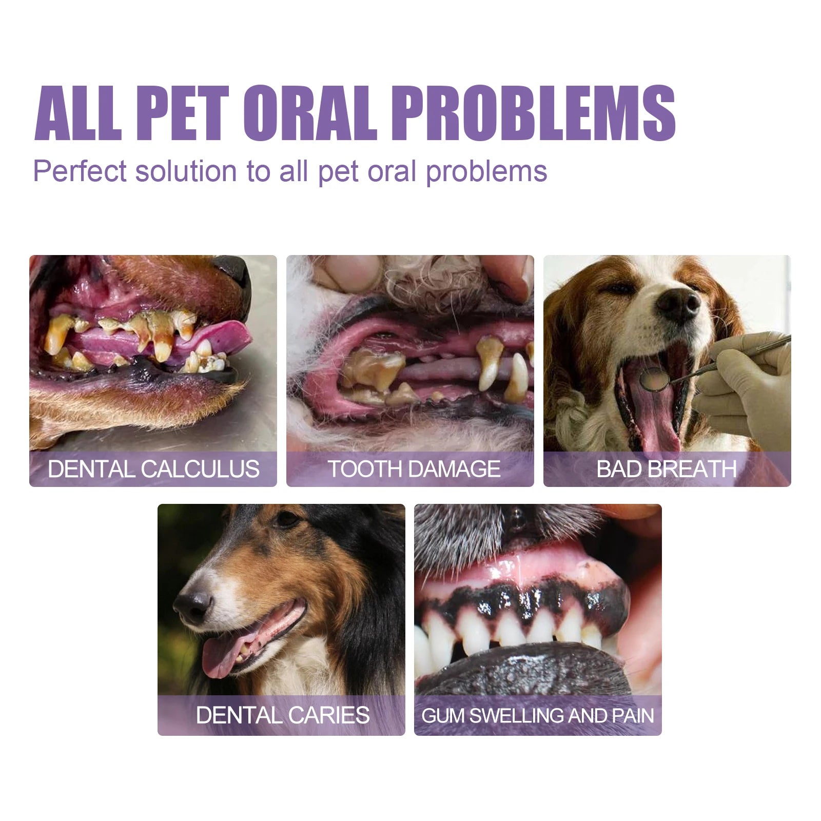 Pet Teeth Cleaning Toothpaste Oral Repair Gel