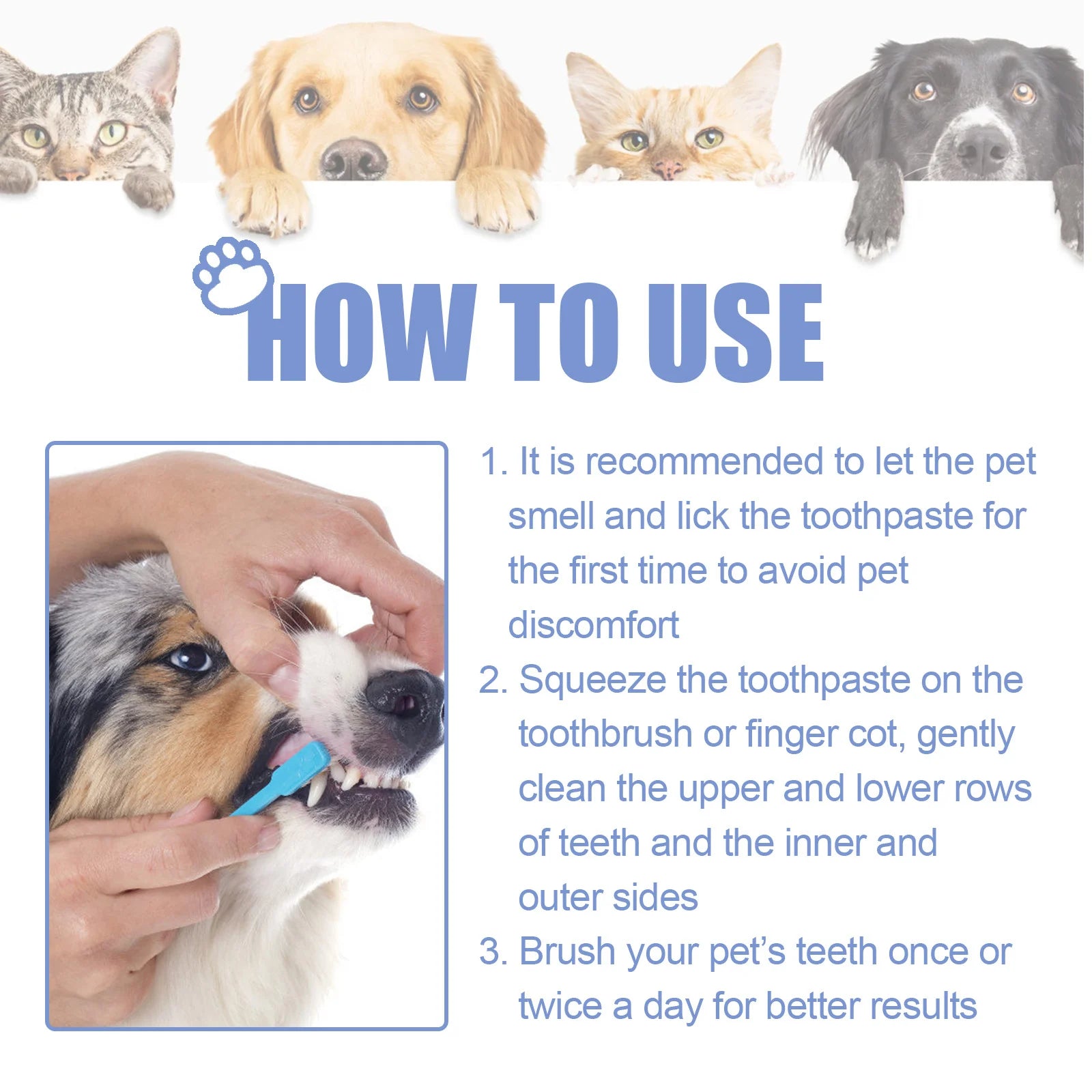Pet Toothpaste For Cat Dog