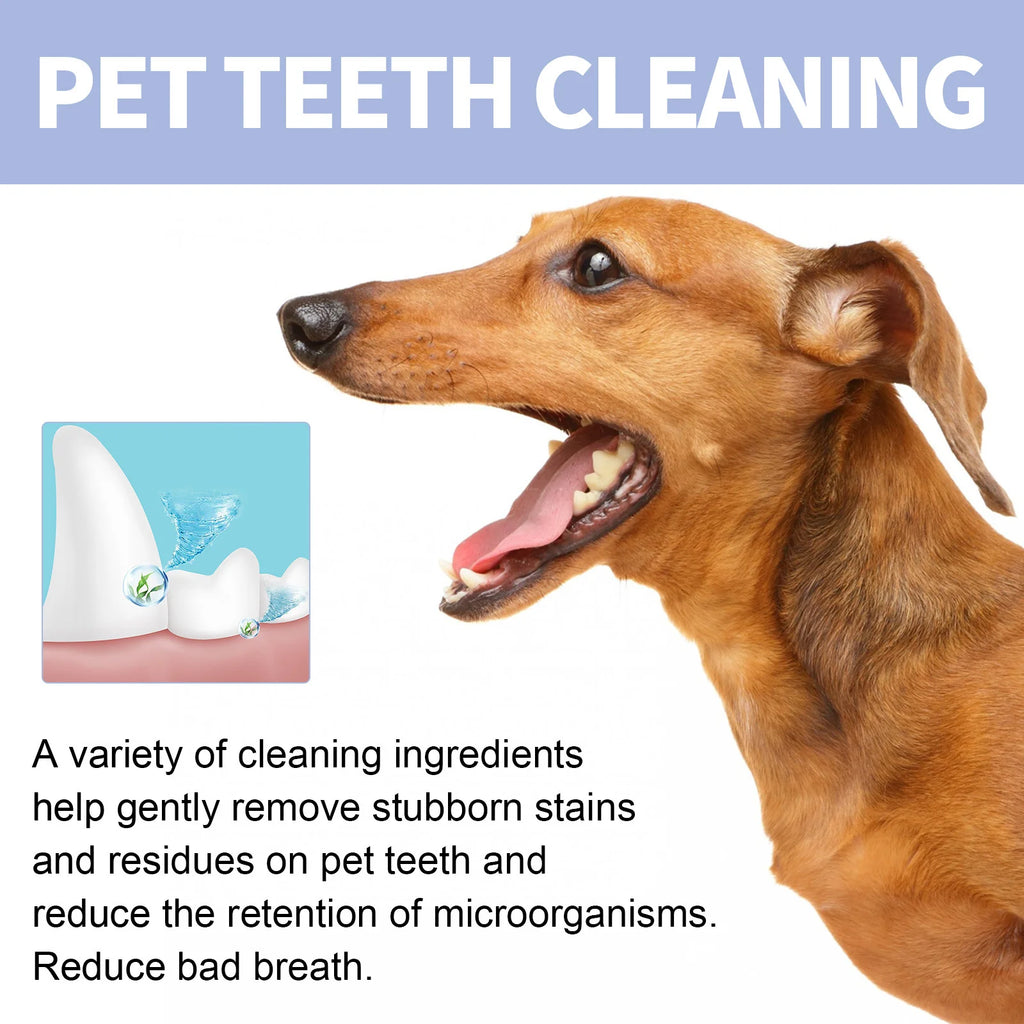 Pet Toothpaste For Cat Dog