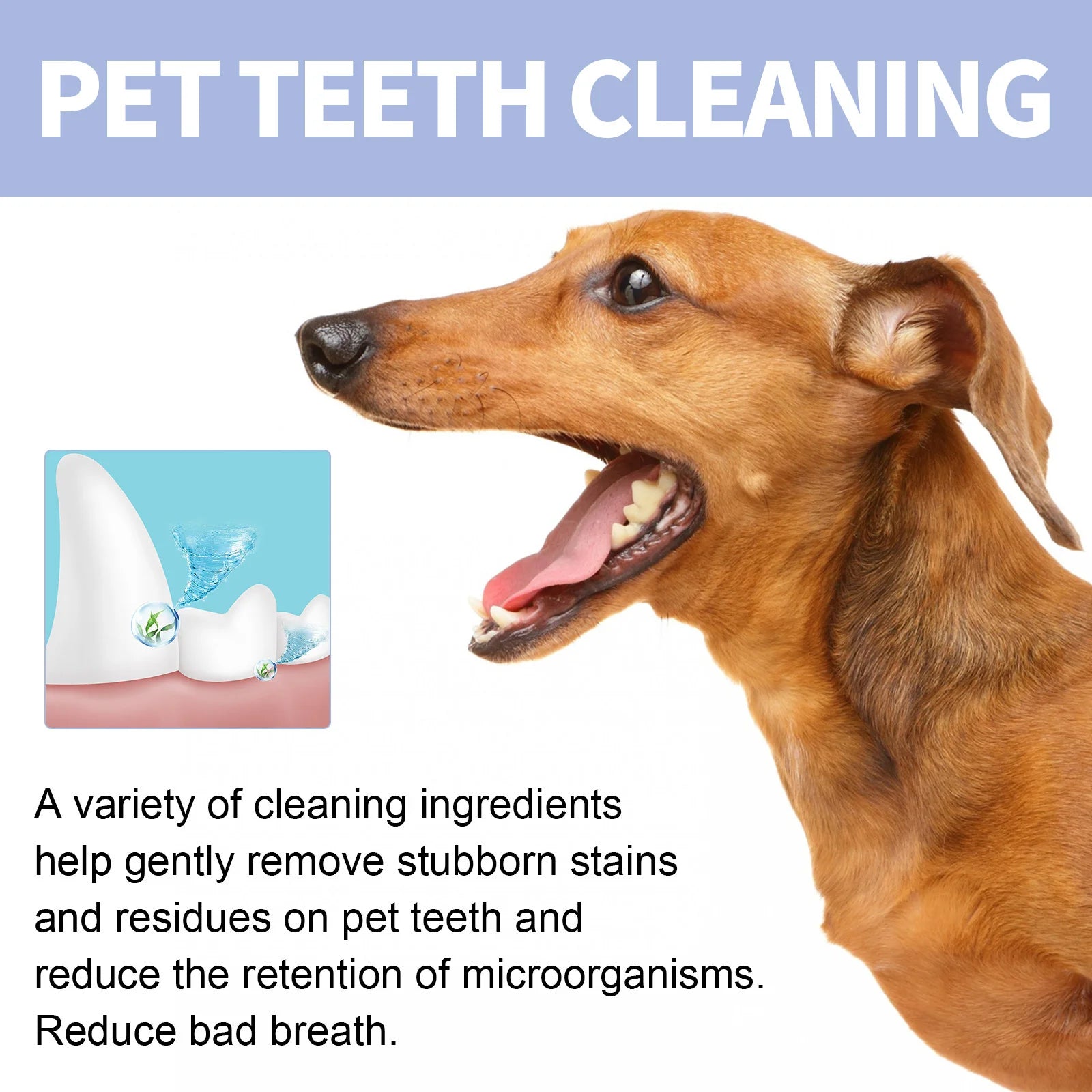 Pet Toothpaste For Cat Dog