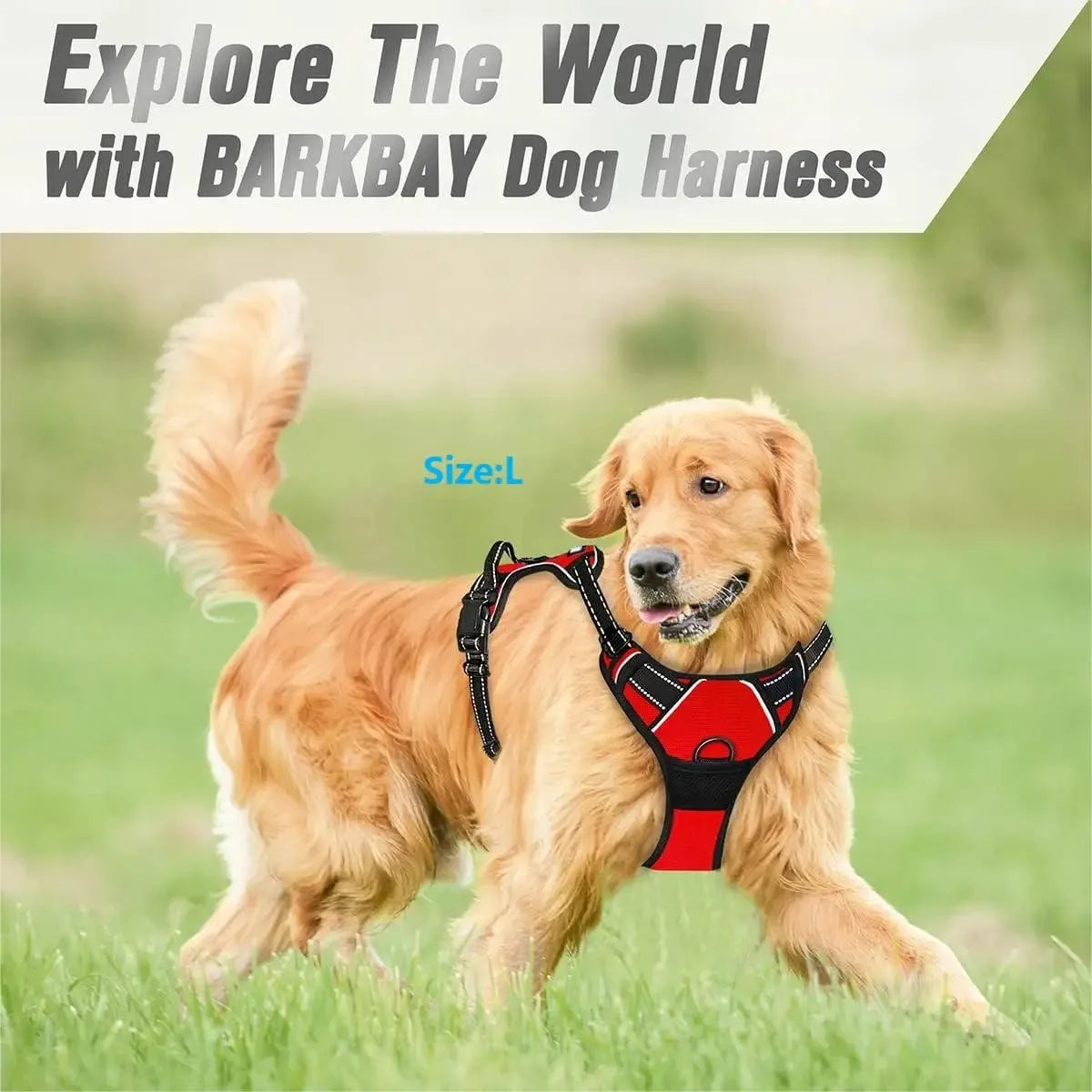 Dog Collar Harness Vest Leash Set