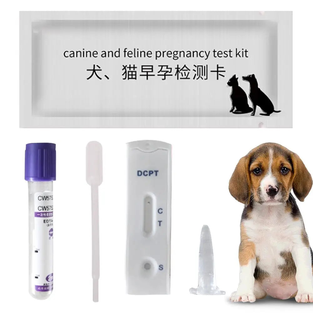 Dog Pregnancy Test Kit Home