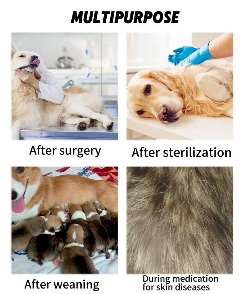 Surgery Recovery Suit Anti Licking Wounds Pet Care Clothes