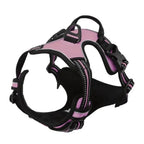 Dog Collar Harness Vest Leash Set