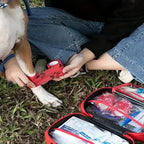 Dog and Cat Travel First Aid Kit