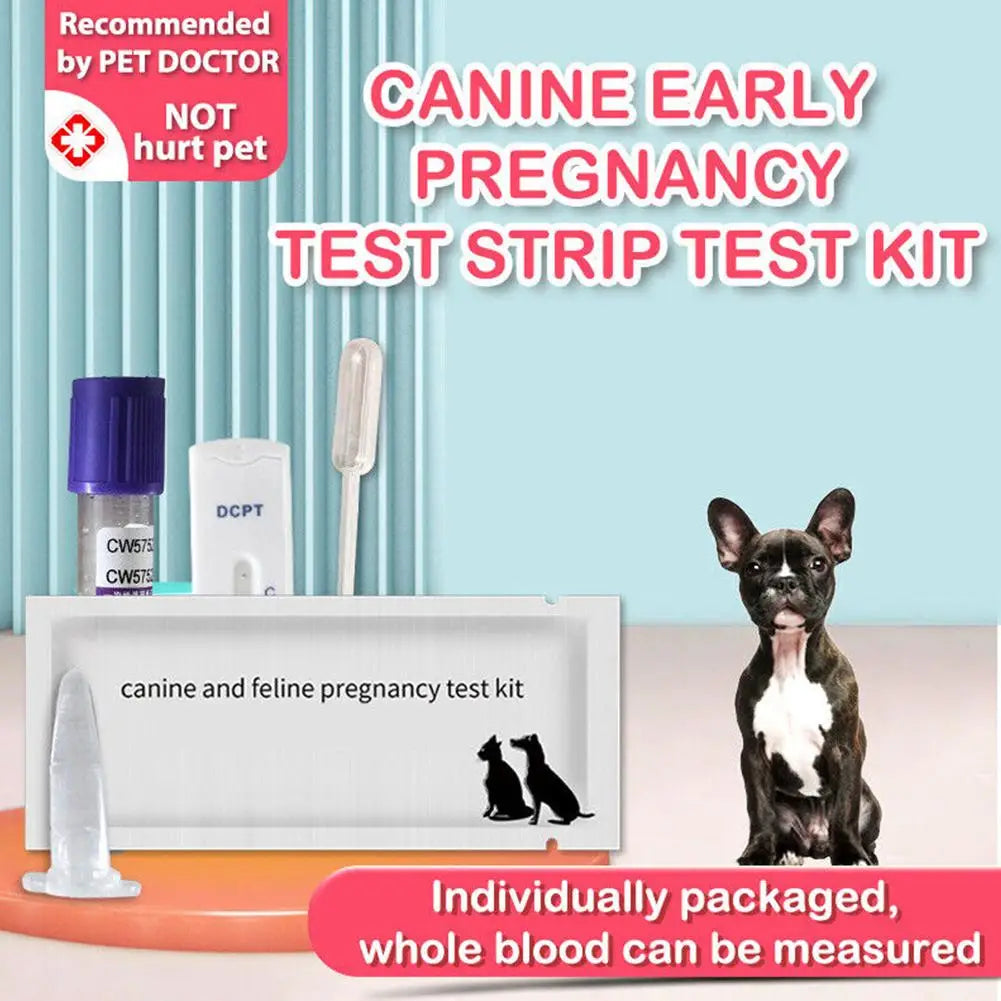 Dog Pregnancy Test Kit Home