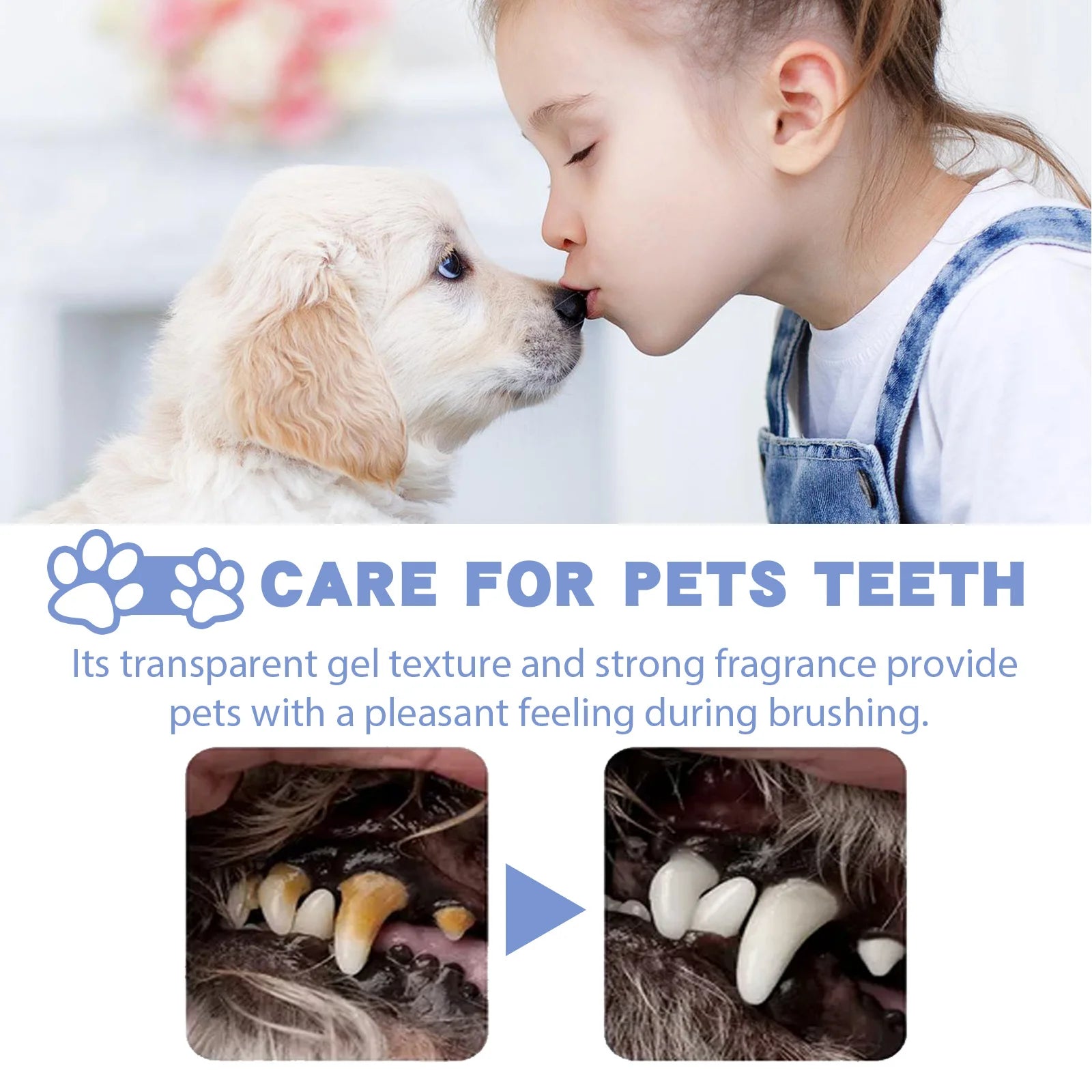 Pet Toothpaste For Cat Dog