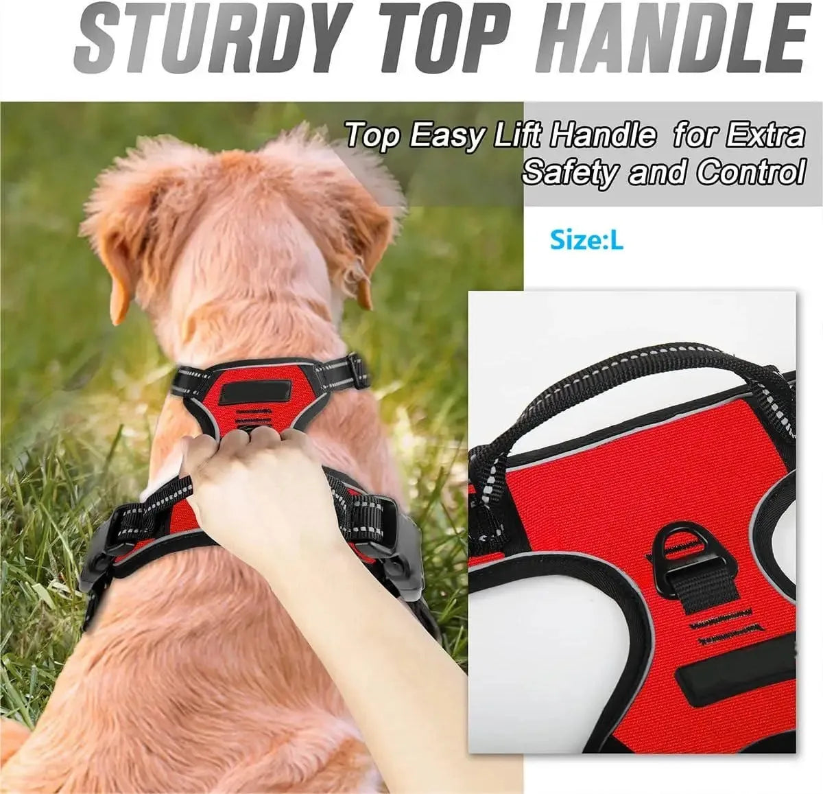 Dog Collar Harness Vest Leash Set