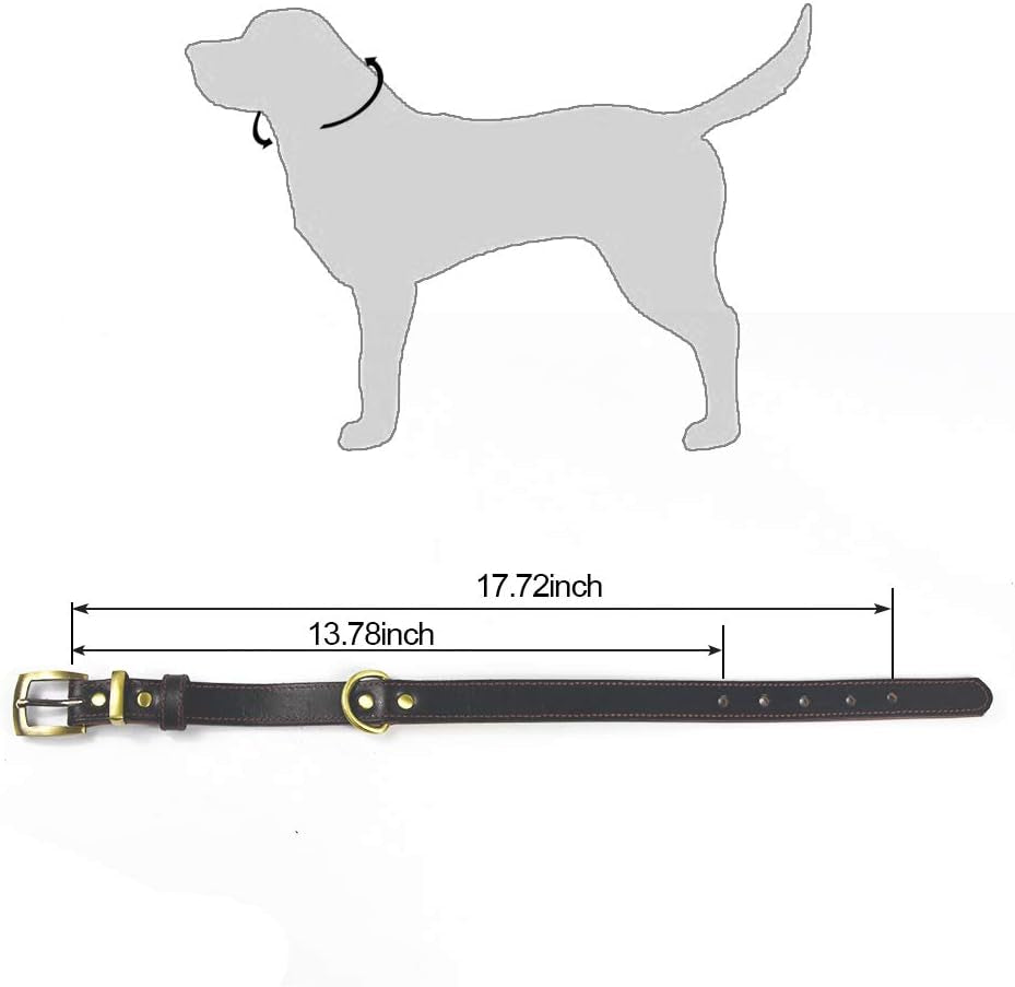 Leather Dog Collar Genuine Leather Alloy Hardware D-Ring Pet Collars for Medium Large and Small Dogs Cats