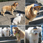 Pet Dog Outdoor Cap Cool Denim Hat - Summer Sun Protection Cap for Dog Doggy (Small)