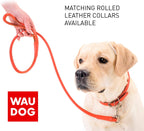Rolled Leather Dog Leash 4 Ft - Soft Dog Lead for Small Medium Large Dogs Puppy - Red Blue Pink Purple Green Black Pet Leashes for Outdoor Walking Running Training plus (Mint Green, 4 Ft X 1/2" Wide)