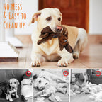 Dog Squeaky Toys 5 Pack Pet Toys Dog Toy No Stuffing Animals Plush Chew Durable