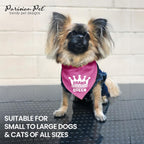 Drama Queen Dog Bandana, Small