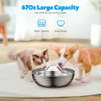 360°Automatic Cat Water Dispenser , 67Oz/2L Silent Pet Drinking Fountain with 5 Filter for Dogs, Cats, Small Animals