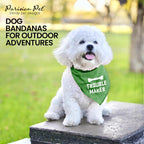 Unisex Dog Bandanas Funny with Printed 'Trouble Maker' Word - Tie-On Adjustable Polyester Dog Scarf for Small Dogs - Washable Triangle Dog Bib - Green Handkerchief for Pets - S