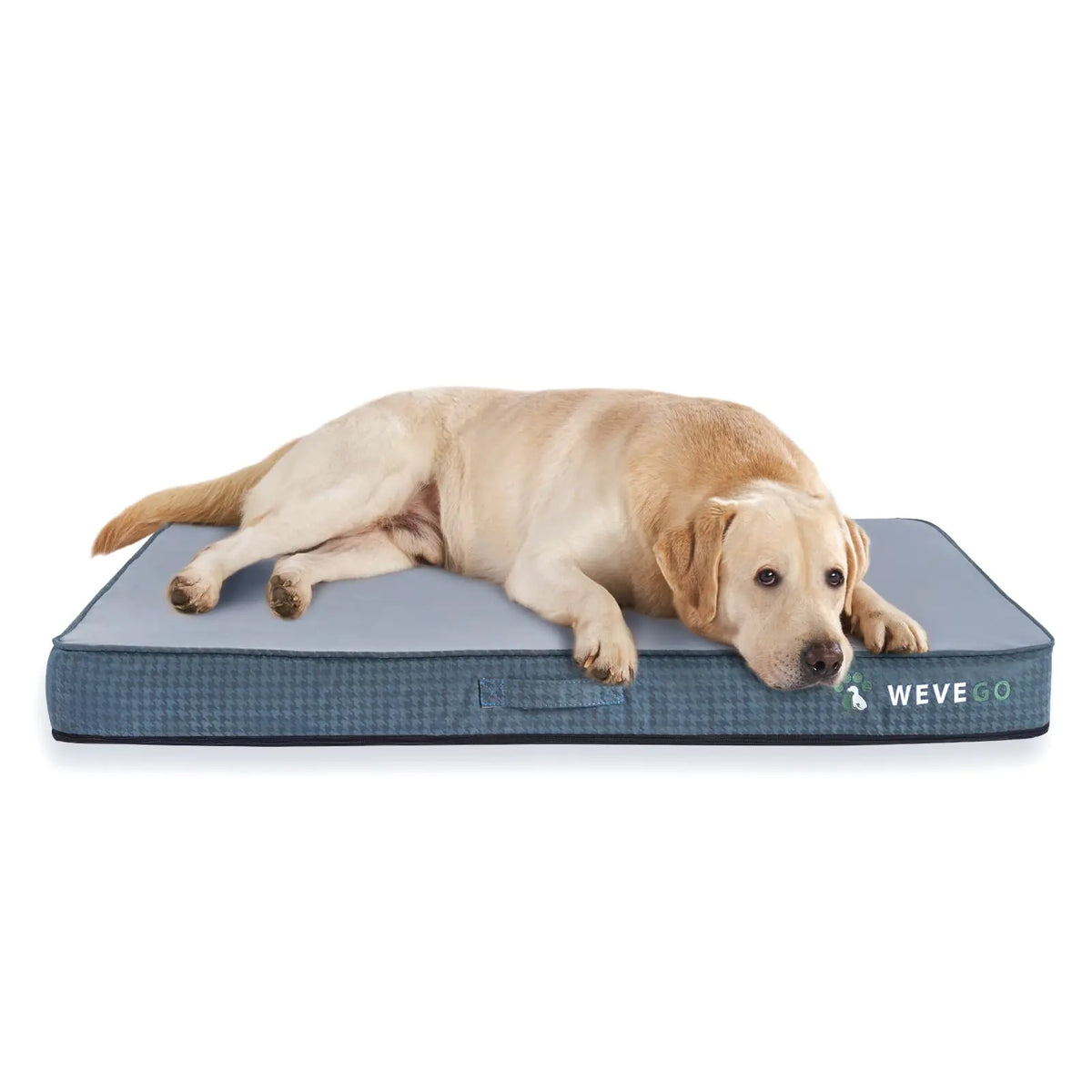 CozyPaws Orthopedic Medium Dog Bed